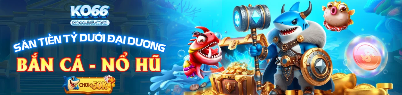 Ko66 27 Banner Ko66